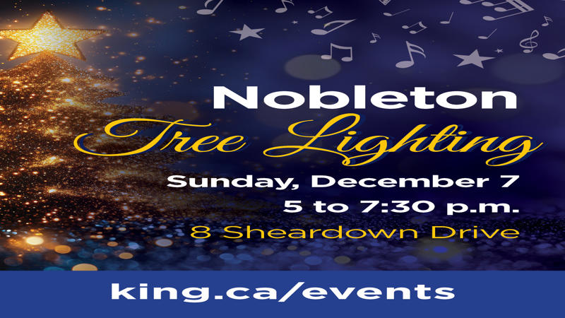 Nobleton Tree Lighting
